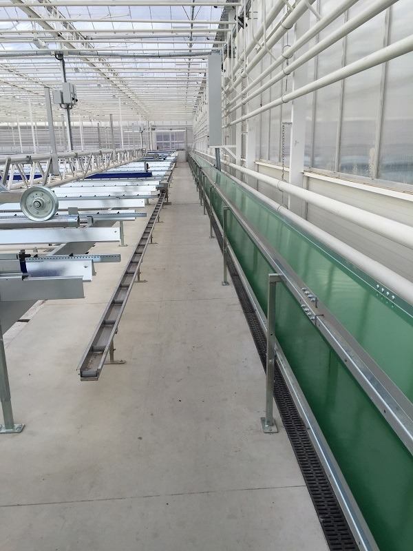 Conveyor belt