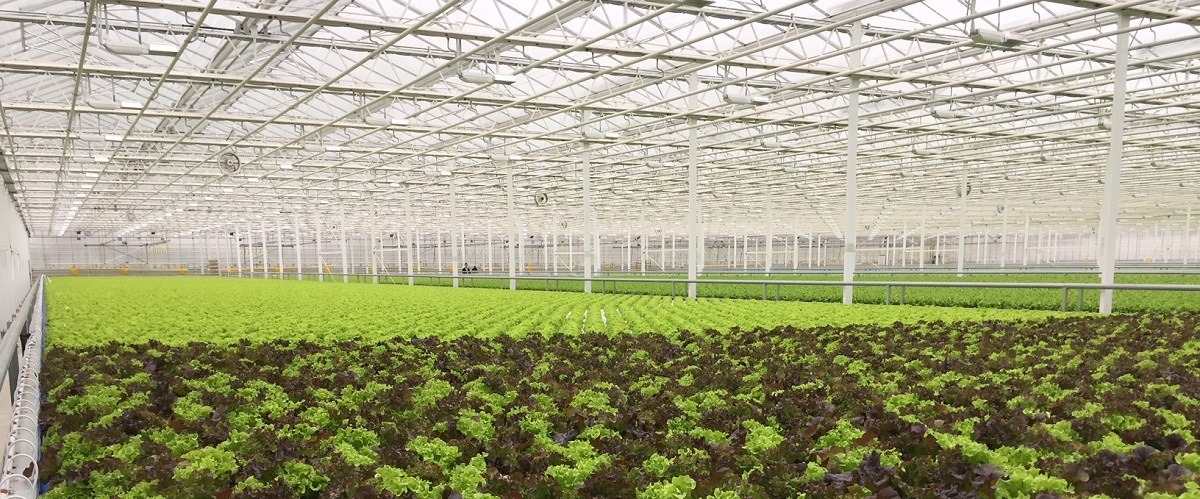 Moving Gutter System