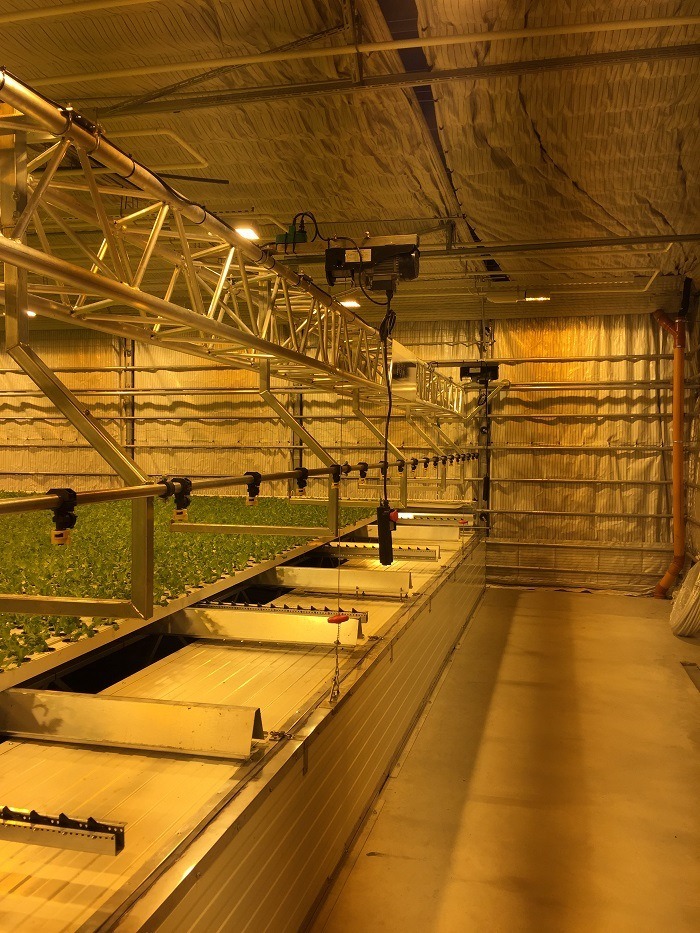 steam chamber