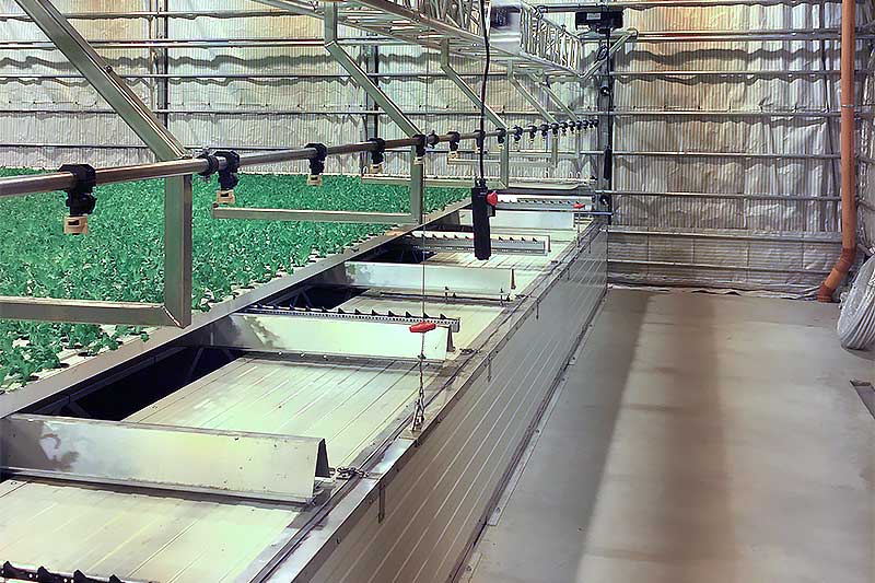 Steaming basins in sandwich panels
