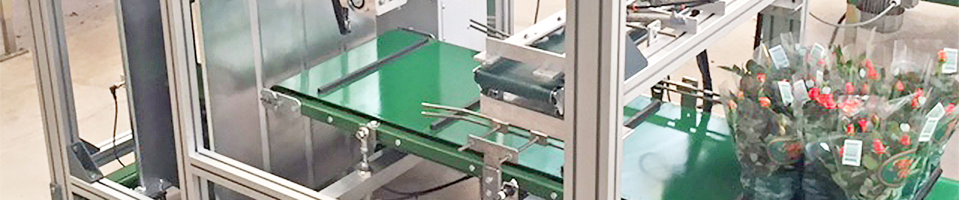 Bagging machine and tray filler