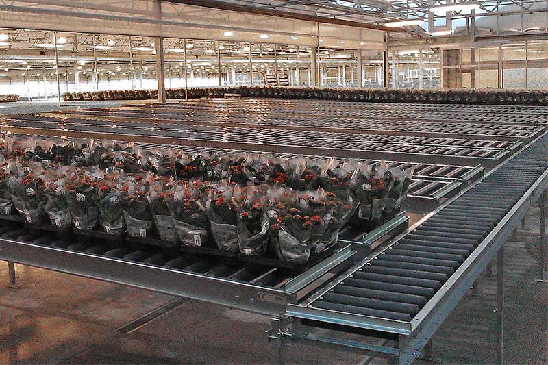 Roller conveyor for potted plants
