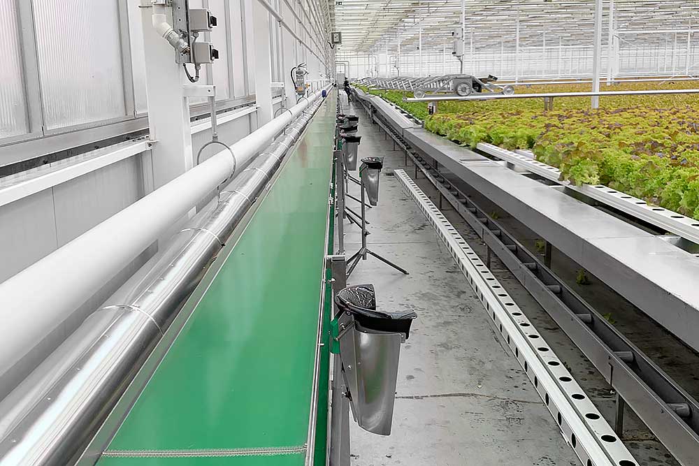 Conveyor belt used with gutter lines