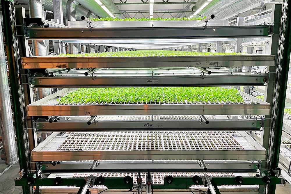 Vertical farming i multilayer rendevogne