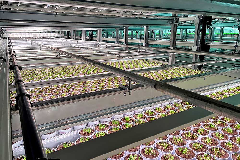 Vertical farming med planter på rendevogn