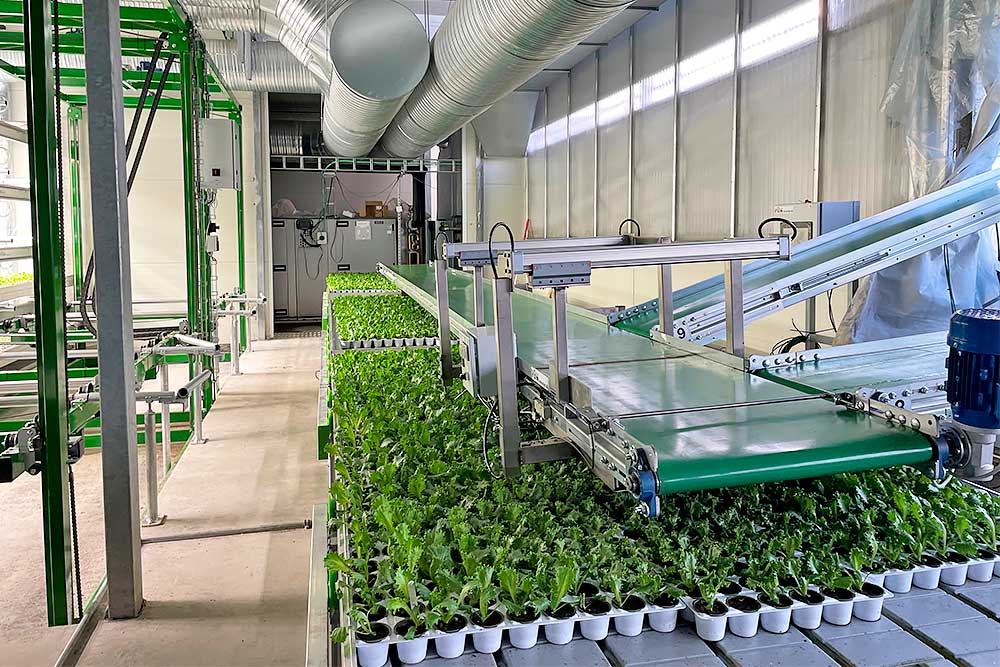 Vertical farming med transportbånd