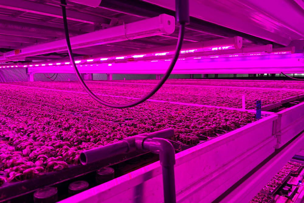 Vertical farming automation