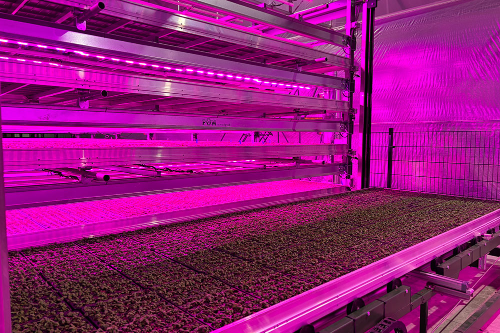 Vertical farming innovations