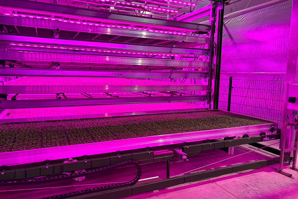 Vertical farming systems