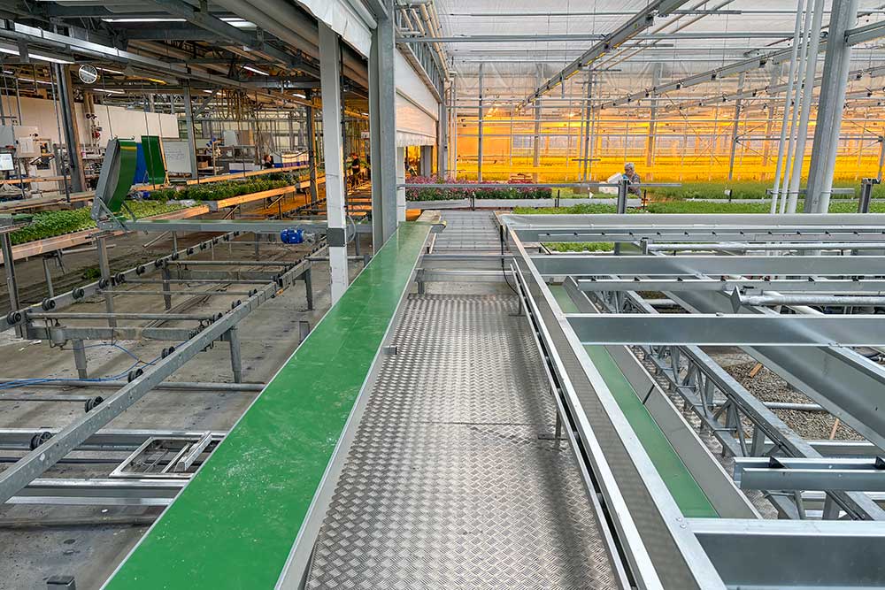 Conveyor belts for horticulture