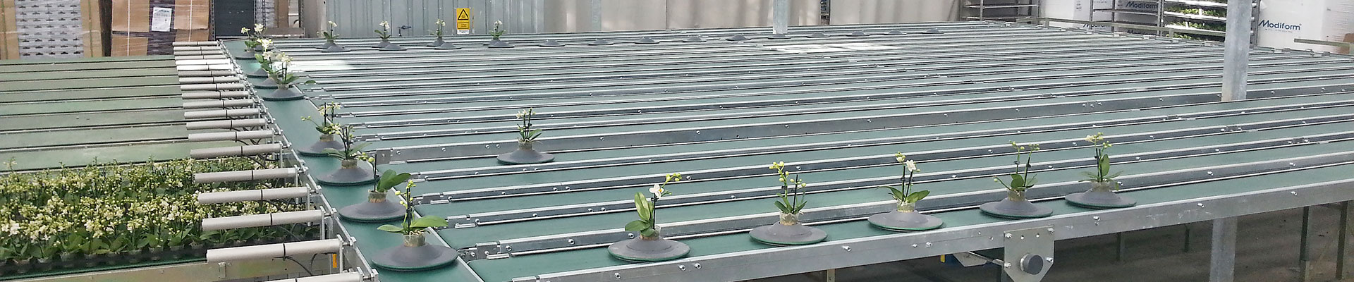 Internal transportation conveyor belts for horticulture