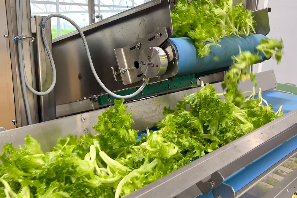 Harvesting machine for greenhouses