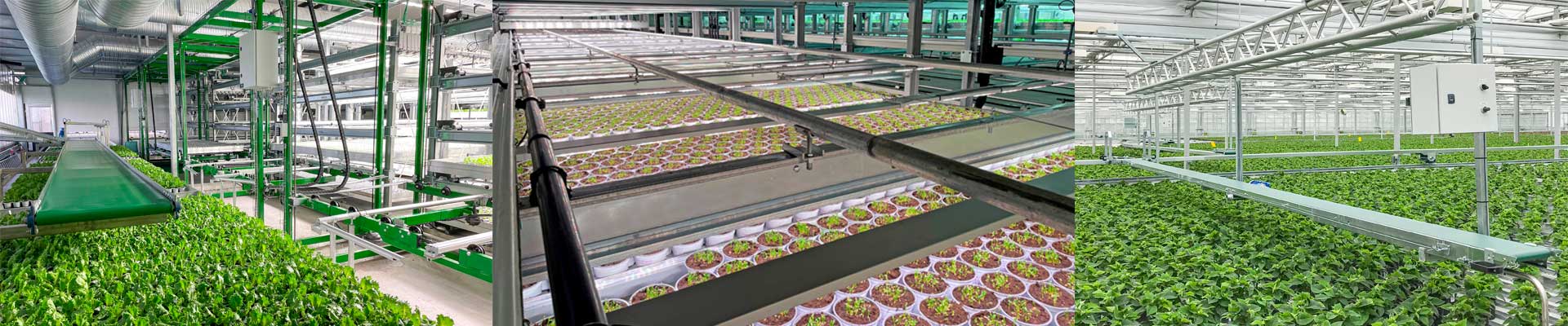 Horticulture technology for greenhouse production