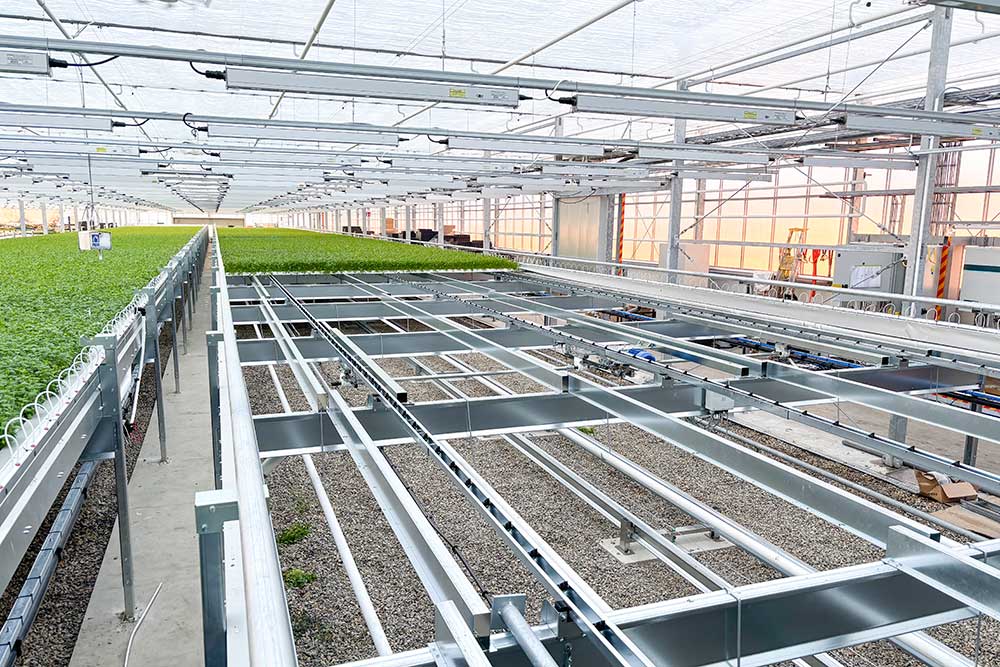Mobile gutter system for greenhouse production