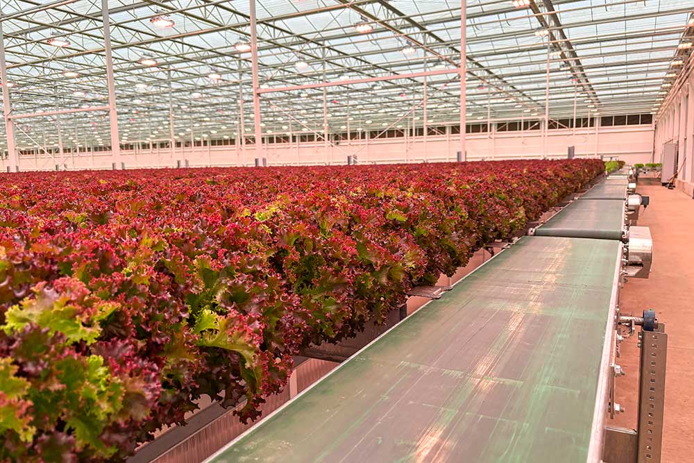 Moving gutter system for greenhouses