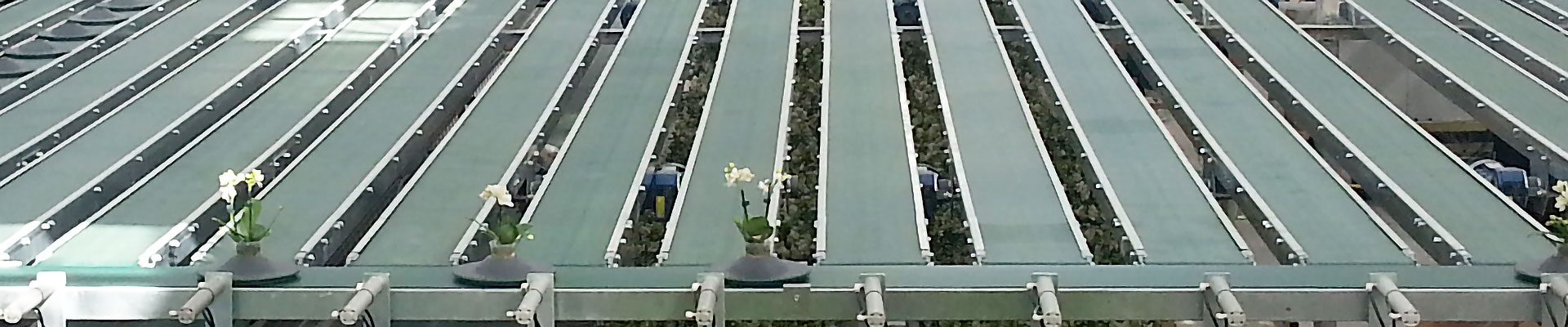 Conveyor belts for internal transportation Conveyor belts for internal transportation