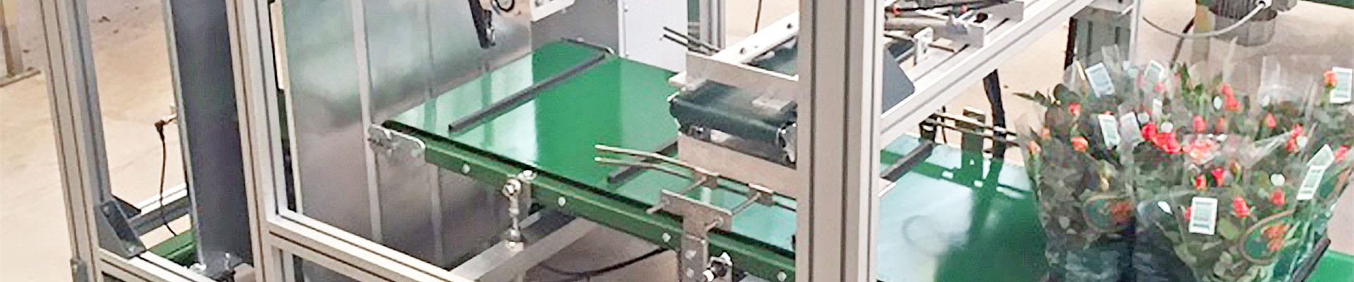 Bagging machines and tray filling machines Bagging machines and tray filling machines